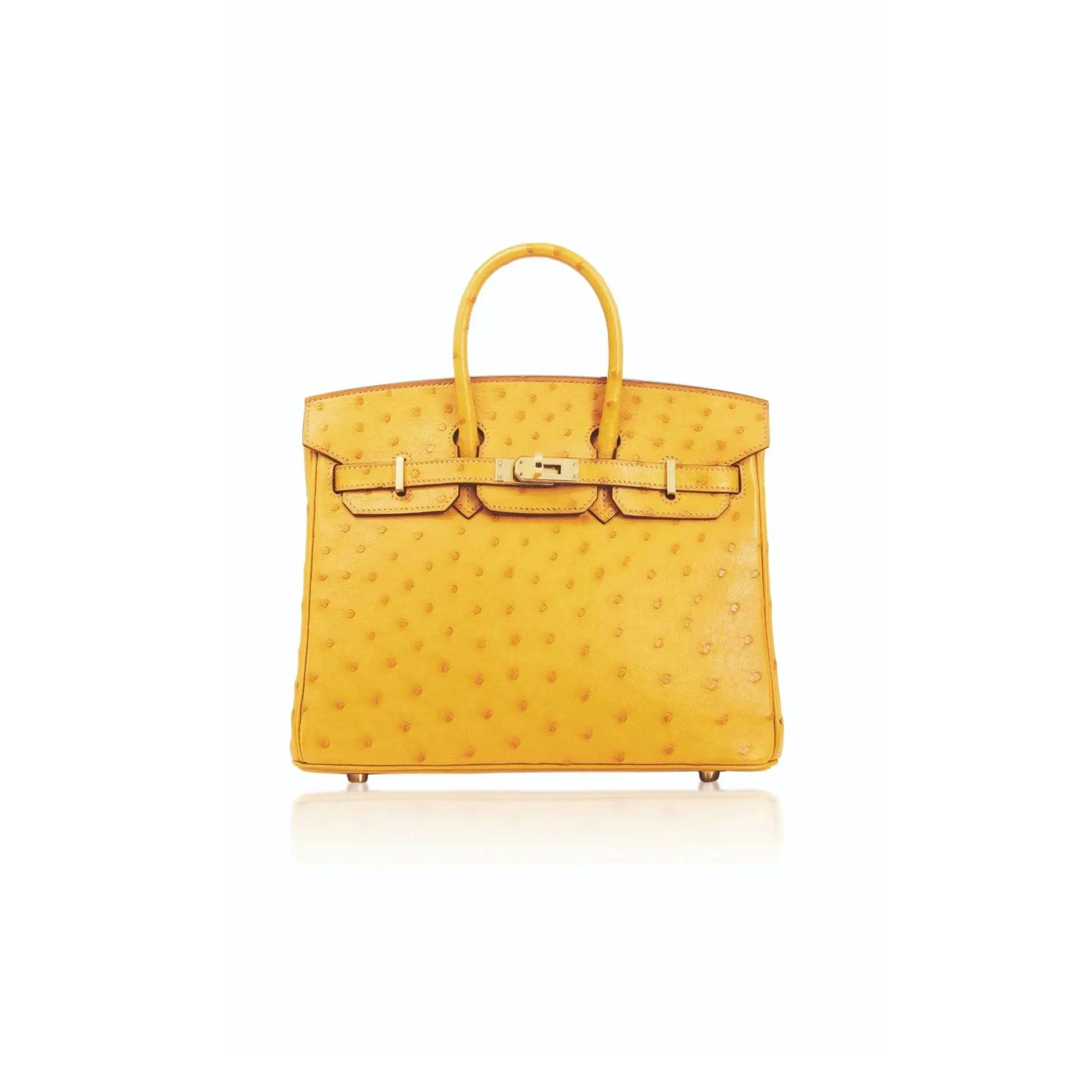 HERMÈS MASTER BIRKIN 25 OSTRICH LEATHER AMBER BAG GOLD BUCKLE H041944CK89 (25*20*13cm)